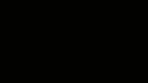 Ingeniarius